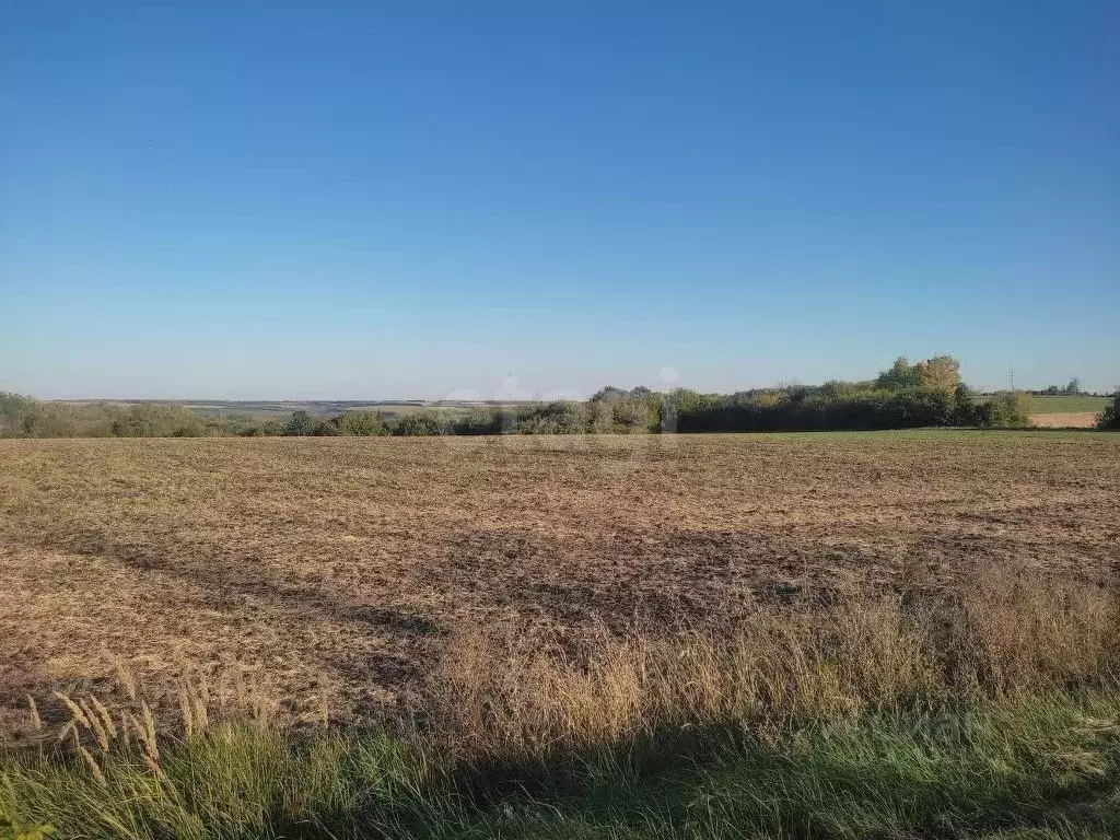 Участок в Белгородская область, Красногвардейский район, Никитовское ... - Фото 2