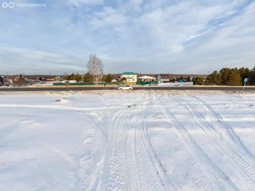 Участок в Нижнетавдинский район, садоводческое товарищество ... - Фото 1