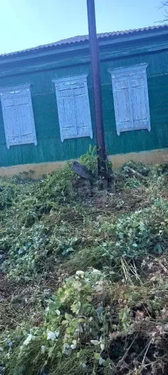 Дом в Саратовская область, Балашовский район, с. Терновка ул. Малая ... - Фото 1