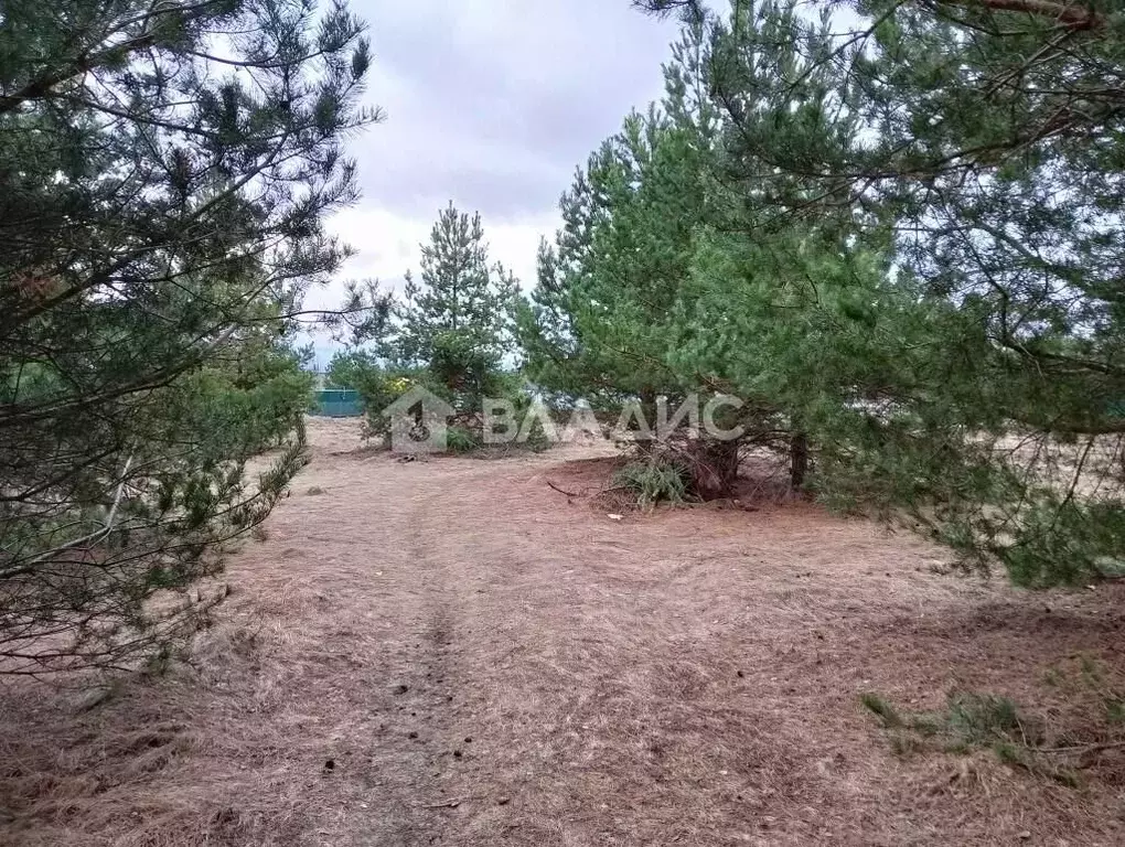 Участок в Владимирская область, Судогодский район, Лавровское ... - Фото 0