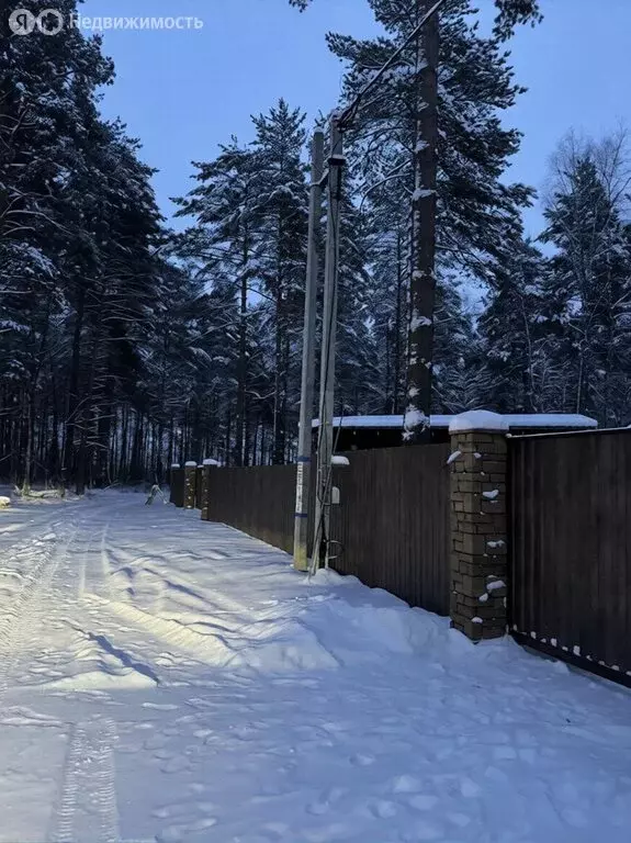 Участок в Богородский городской округ (10 м) - Фото 1