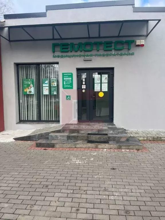 Помещение свободного назначения в Калининградская область, Светлогорск ... - Фото 1