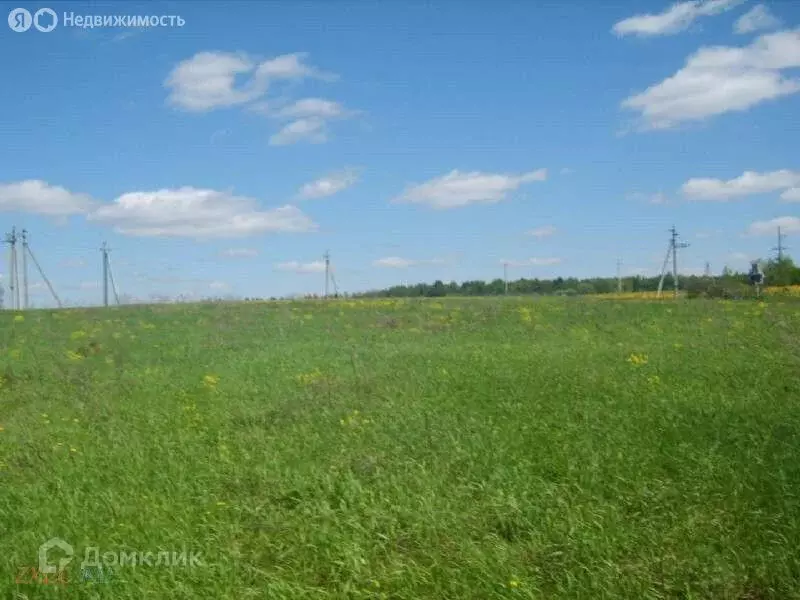 Участок в Лаишевский район, Чирповское сельское поселение, коттеджный ... - Фото 0