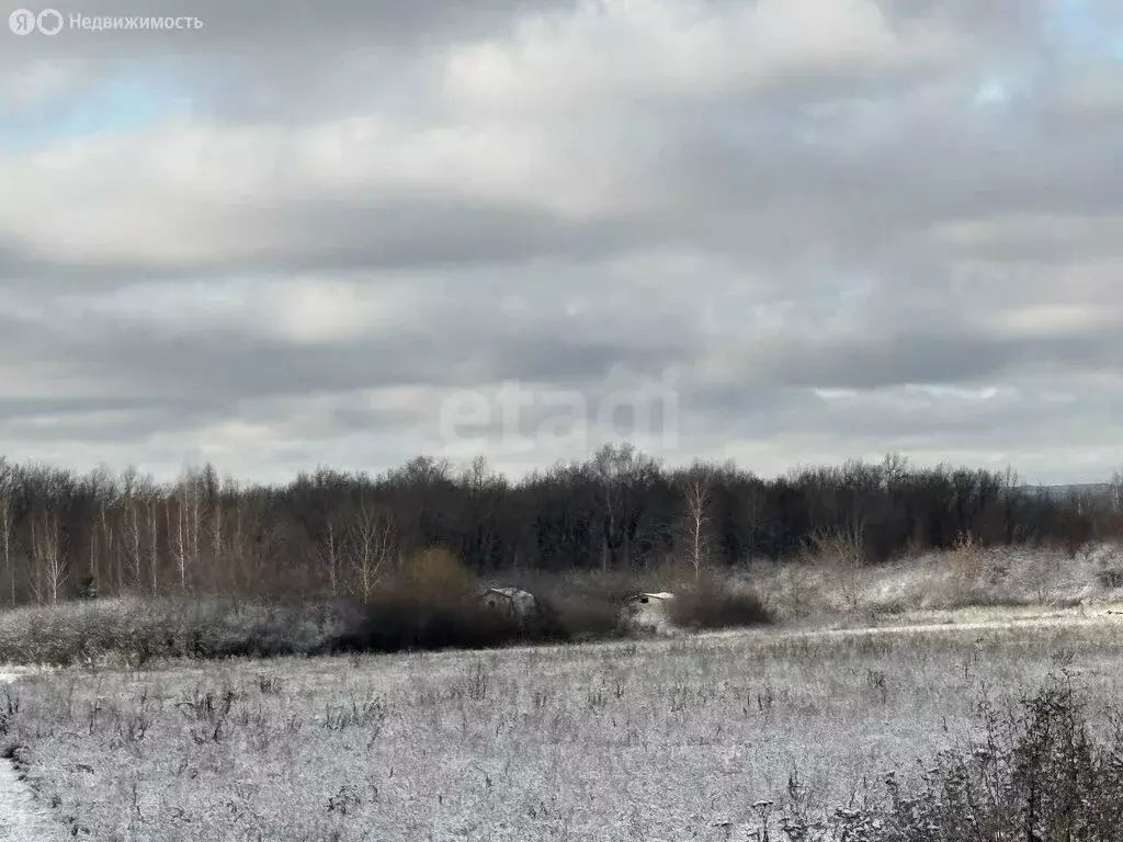 Участок в Саранск, садоводческое товарищество Буревестник (4 м) - Фото 2