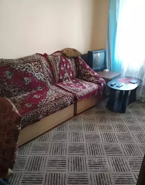 1-к кв. Новосибирская область, Искитим Центральная ул., 20 (22.0 м) - Фото 1
