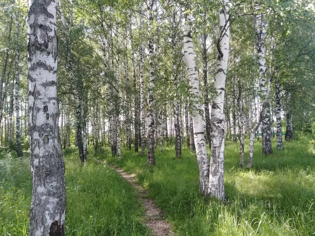 Дом в Московская область, Солнечногорск городской округ, с. Алабушево ... - Фото 1