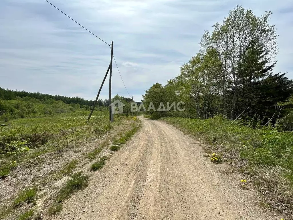 Участок в Сахалинская область, Корсаковский городской округ, с. Новое  ... - Фото 0