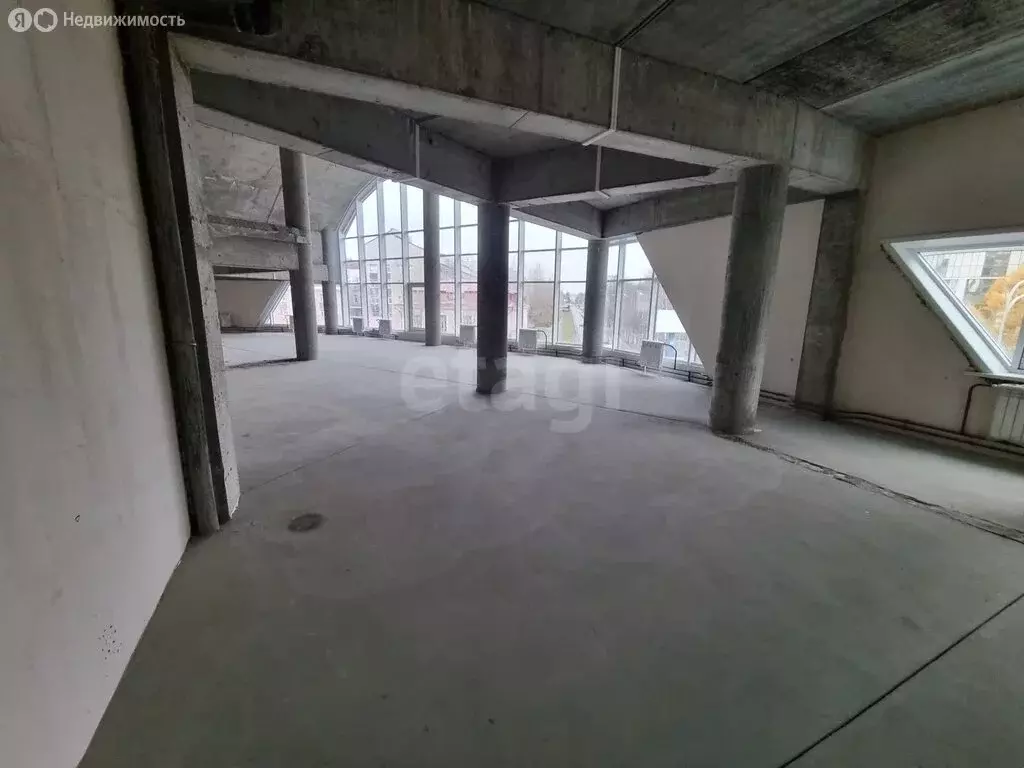 Помещение свободного назначения (546 м) - Фото 2