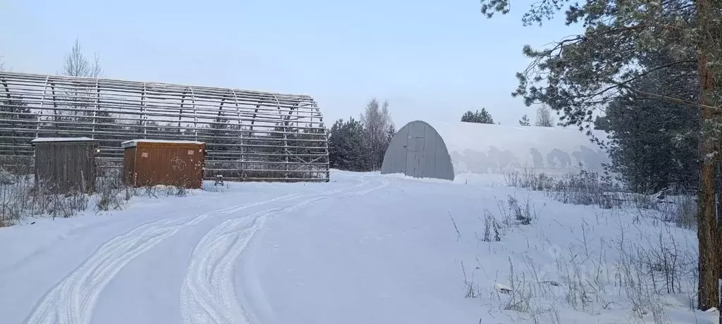 Помещение свободного назначения в Воронежская область, Рамонский ... - Фото 1