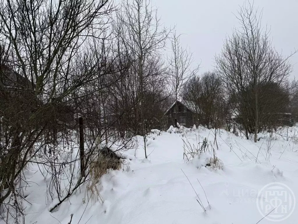 Участок в Ленинградская область, Выборгский район, пос. Первомайское ... - Фото 1