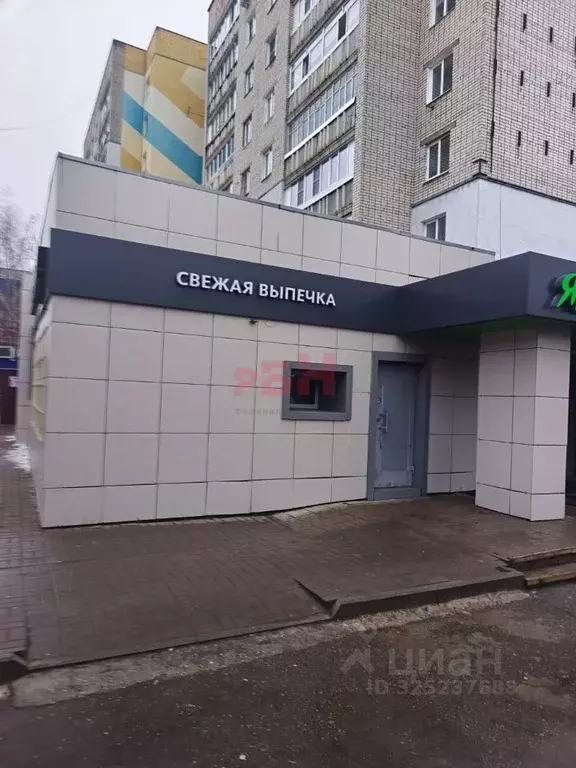 Помещение свободного назначения в Ярославская область, Тутаев просп. ... - Фото 2