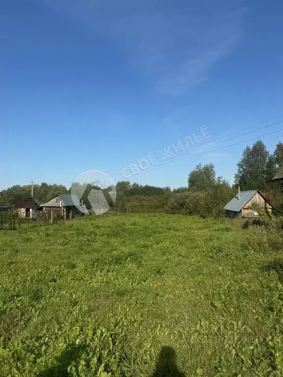 Дом в Пермский край, с. Усть-Качка пер. Черемшановский, 5 (50 м) - Фото 1