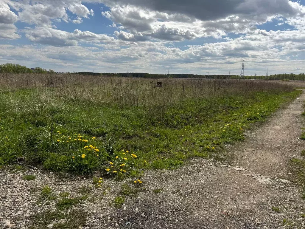 Участок в Московская область, Богородский городской округ, д. ... - Фото 0