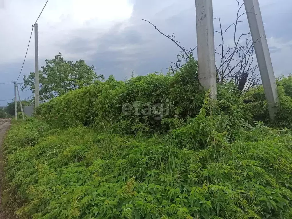 Участок в Белгородская область, Строитель Яковлевский городской округ, ... - Фото 0