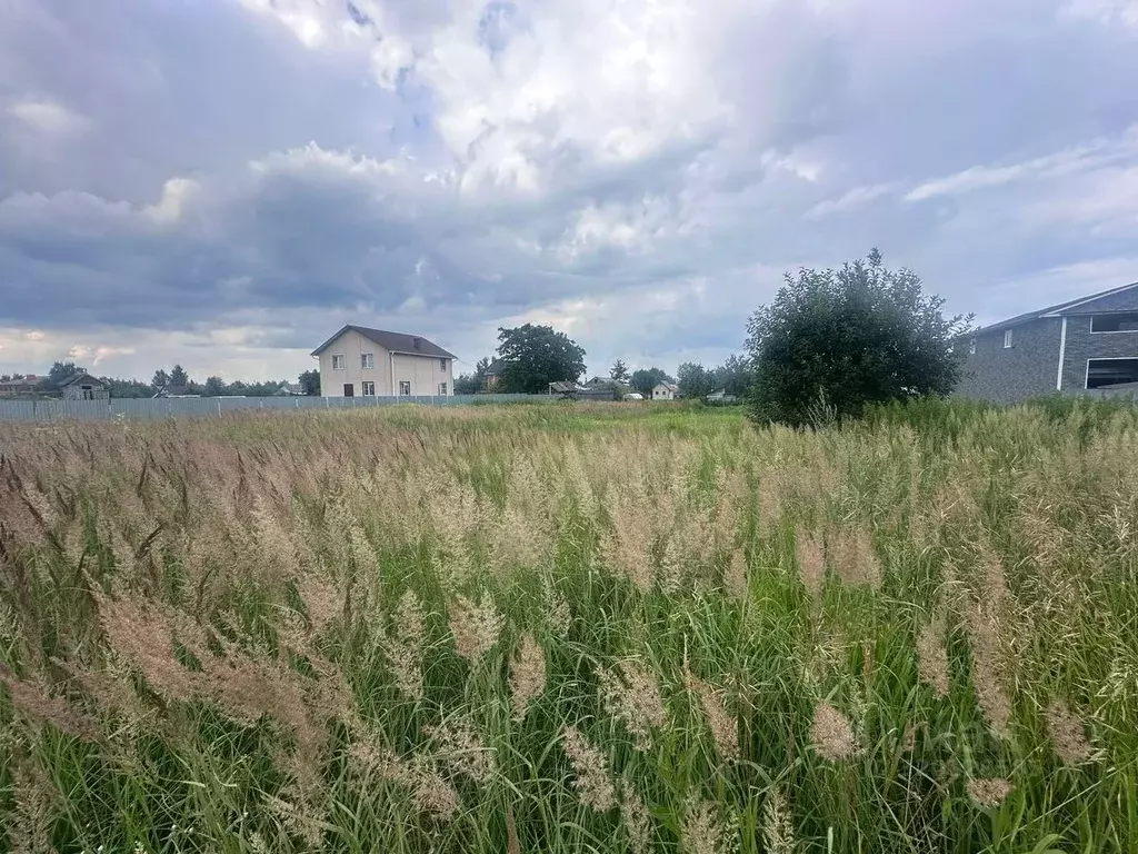 Участок в Московская область, Богородский городской округ, д. ... - Фото 0