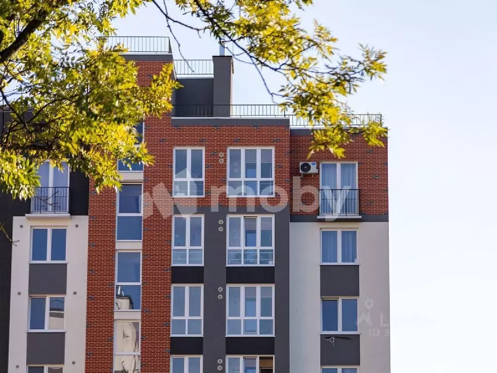 2-к кв. Калининградская область, Калининград Минусинская ул., 9 (59.72 ... - Фото 2