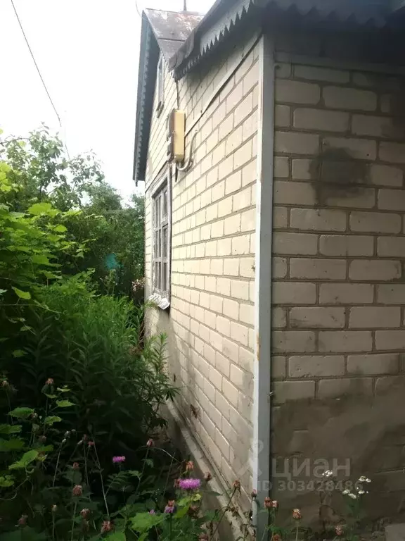 Дом в Белгородская область, Белгородский район, Ериковское с/пос  (24 ... - Фото 1