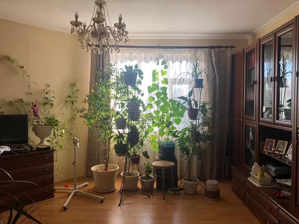 Продается 2-комнатная квартира - Фото 2