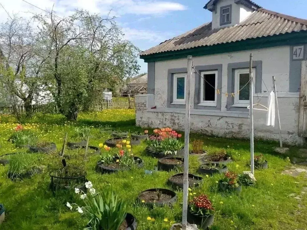 Дом в Нижегородская область, Нижний Новгород пос. Новое Доскино, 12-я ... - Фото 1
