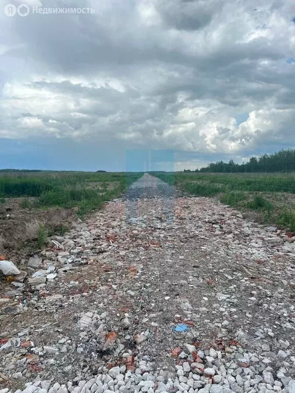 Участок в Московская область, городской округ Ступино, деревня ... - Фото 1