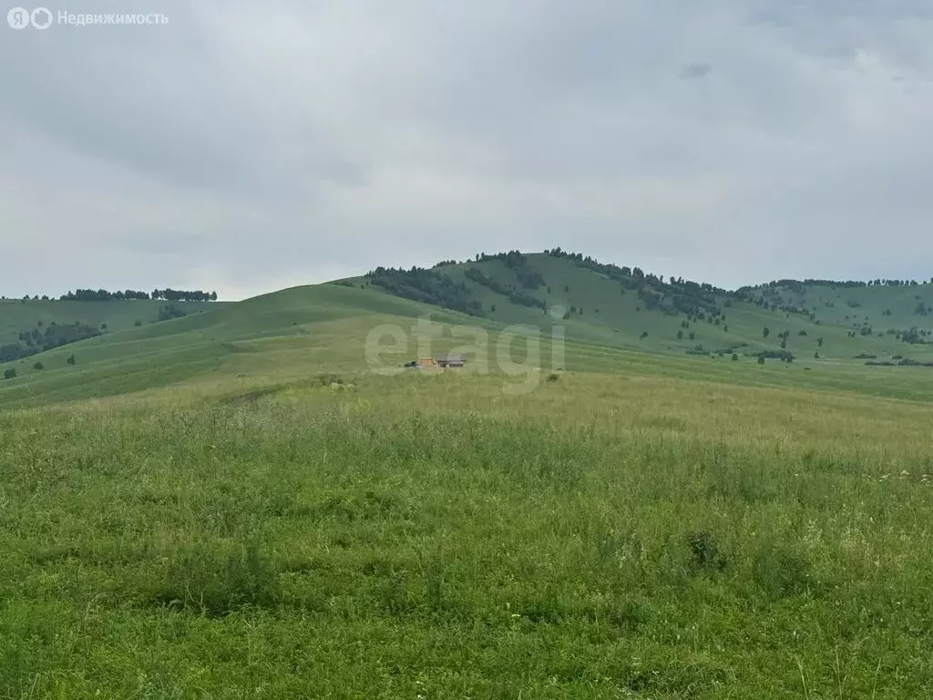 Участок в Алтайский район, ДНТ Жемчужина Алтая (9 м) - Фото 1