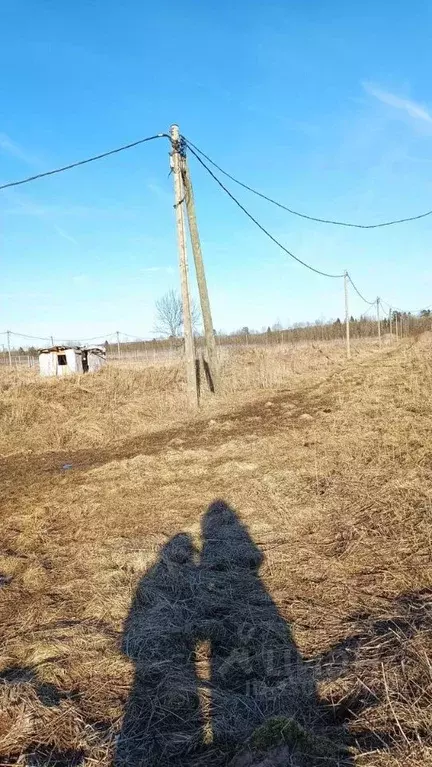 Участок в Ленинградская область, Тосненское городское поселение, ... - Фото 1