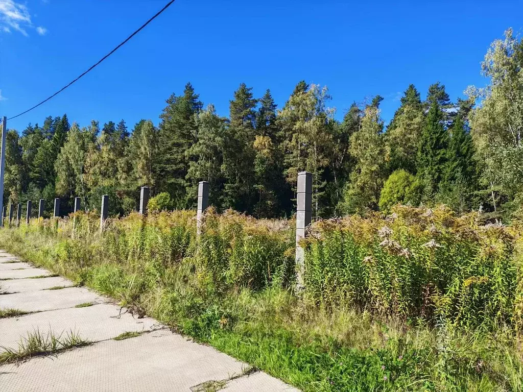 Участок в Московская область, Черноголовка городской округ, с. ... - Фото 1