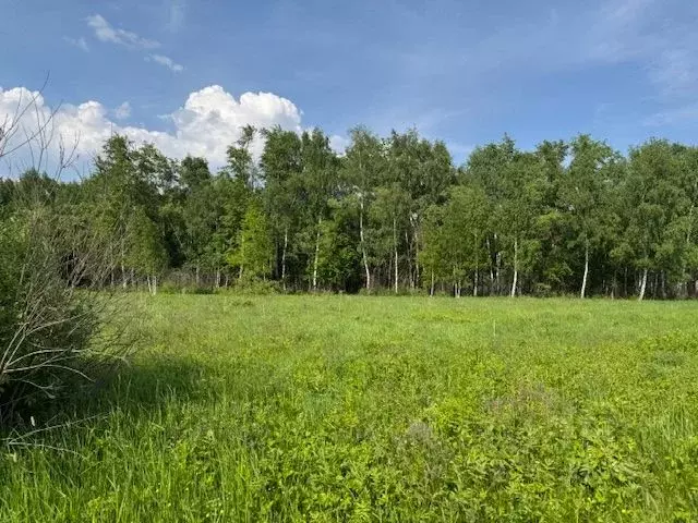 Участок в Московская область, Воскресенск городской округ, д. ... - Фото 1