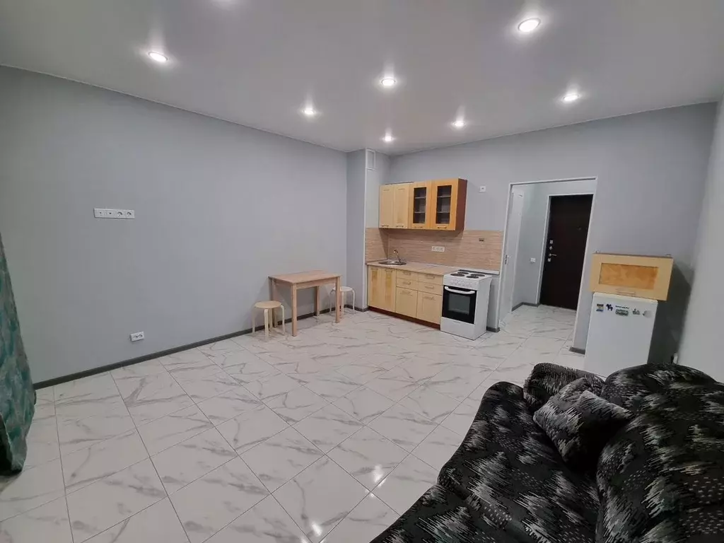 Студия Ленинградская область, Всеволожский район, Дубровское городское ... - Фото 2