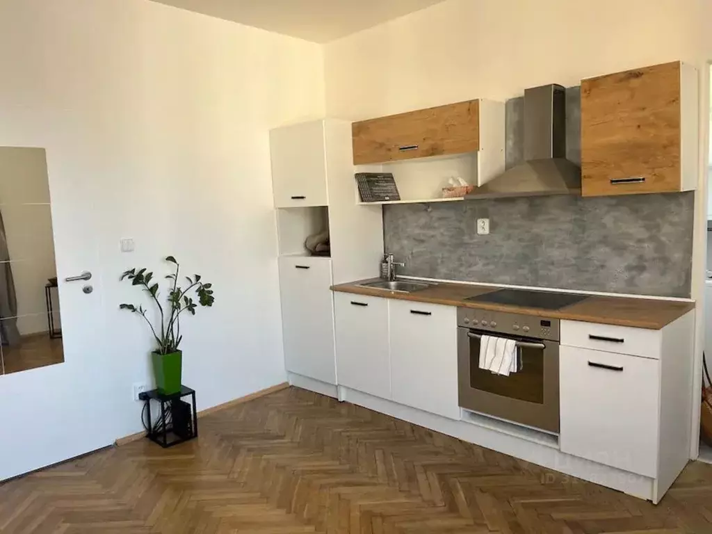 Студия Санкт-Петербург Исполкомская ул., 5 (25.0 м) - Фото 1
