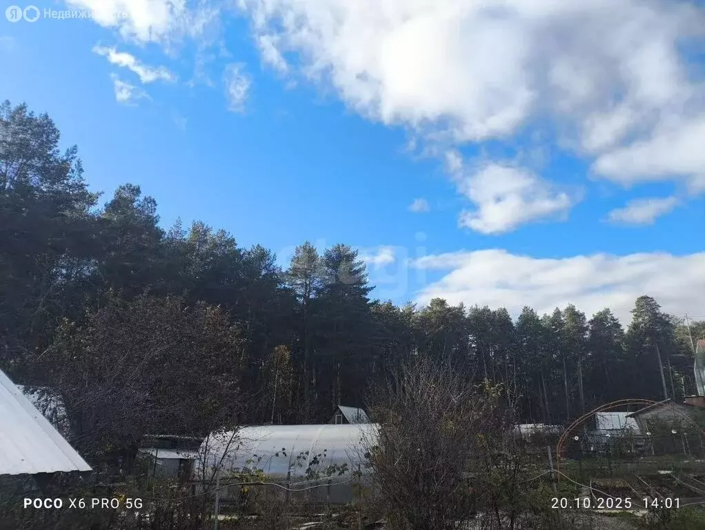 Участок в Пермский муниципальный округ, СНТ Берёзка (3.9 м) - Фото 1