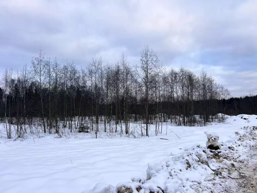 Участок в Московская область, Дмитровский муниципальный округ, ... - Фото 0