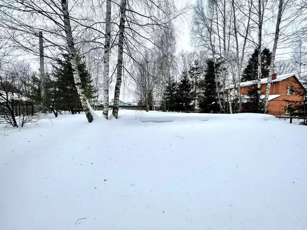 Участок в Московская область, Щелково городской округ, д. Мишнево ул. ... - Фото 0