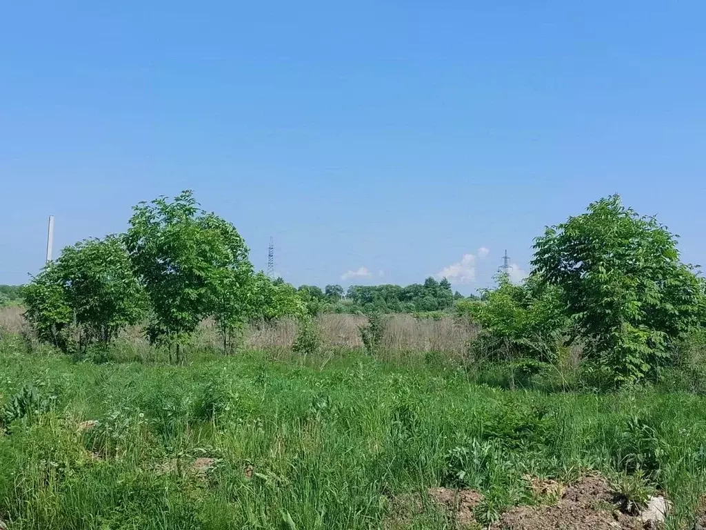 Участок в Хабаровский край, Хабаровский район, Тополевское с/пос, с. ... - Фото 1