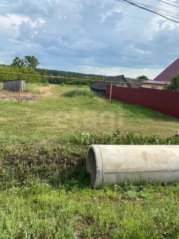 Участок в Мордовия, Кочкуровский район, с. Сабаево  (10.0 сот.) - Фото 2