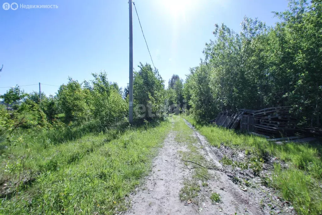 Участок в Тобольск, садоводческое товарищество Фортуна (9.8 м) - Фото 1