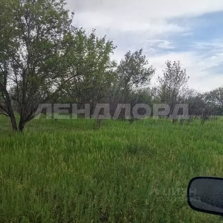 Участок в Ростовская область, Новочеркасск Виноградная Лоза СНТ,  (6.6 ... - Фото 1