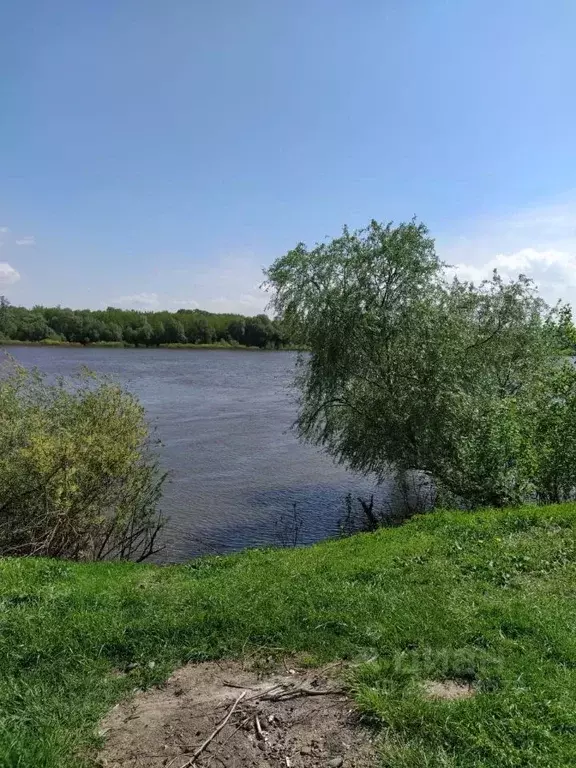 Участок в Рязанская область, Рыбновский район, Пощуповское с/пос  ... - Фото 0