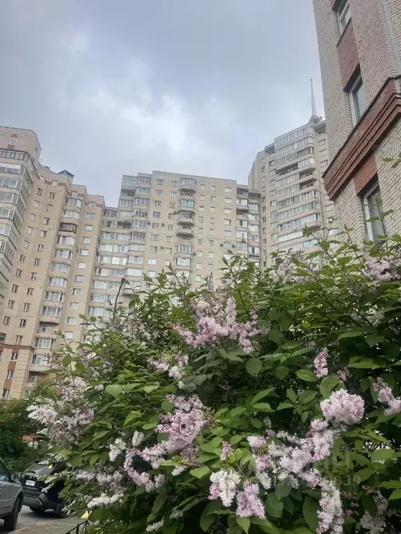 4-к кв. Санкт-Петербург Коломяжский просп., 20 (123.0 м) - Фото 1