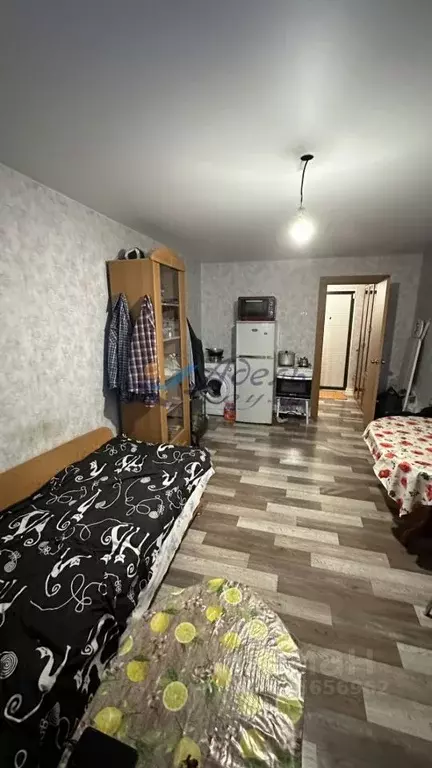 Студия Красноярский край, Норильск проезд Михайличенко, 6 (21.7 м) - Фото 1