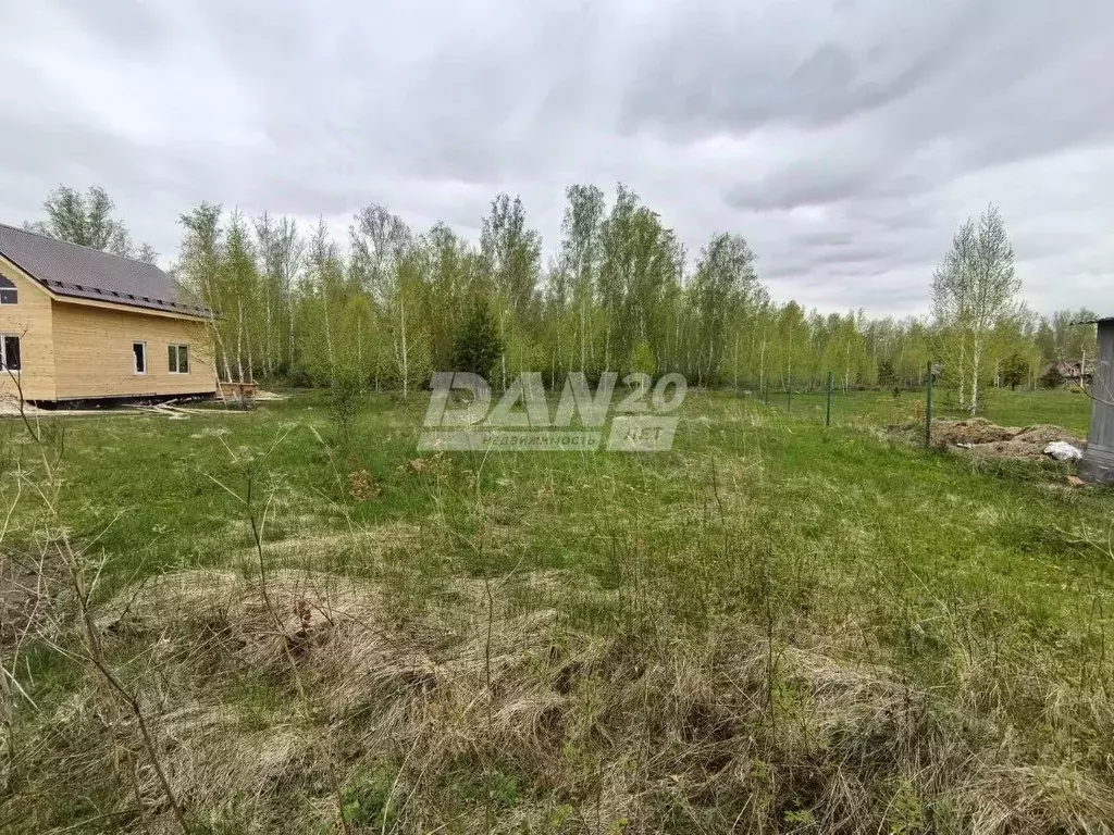 Участок в Челябинская область, Красноармейский район, Лазурненское ... - Фото 0