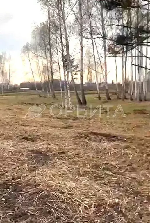 Участок в Тюменская область, Нижнетавдинский муниципальный округ, ТСН ... - Фото 1