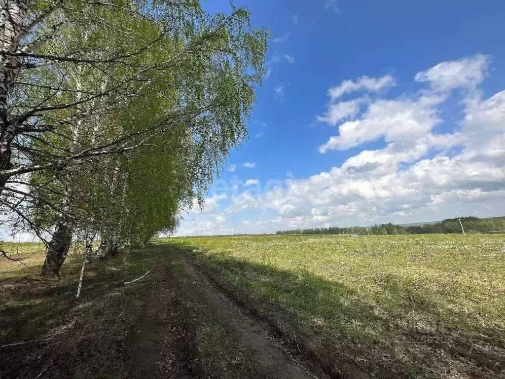 Участок в Нижегородская область, Богородский муниципальный округ, д. ... - Фото 1