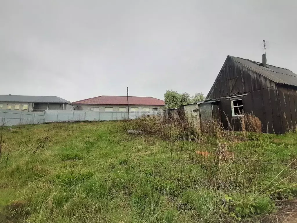 Участок в Тюменская область, Тюменский муниципальный округ, с. Борки ... - Фото 1