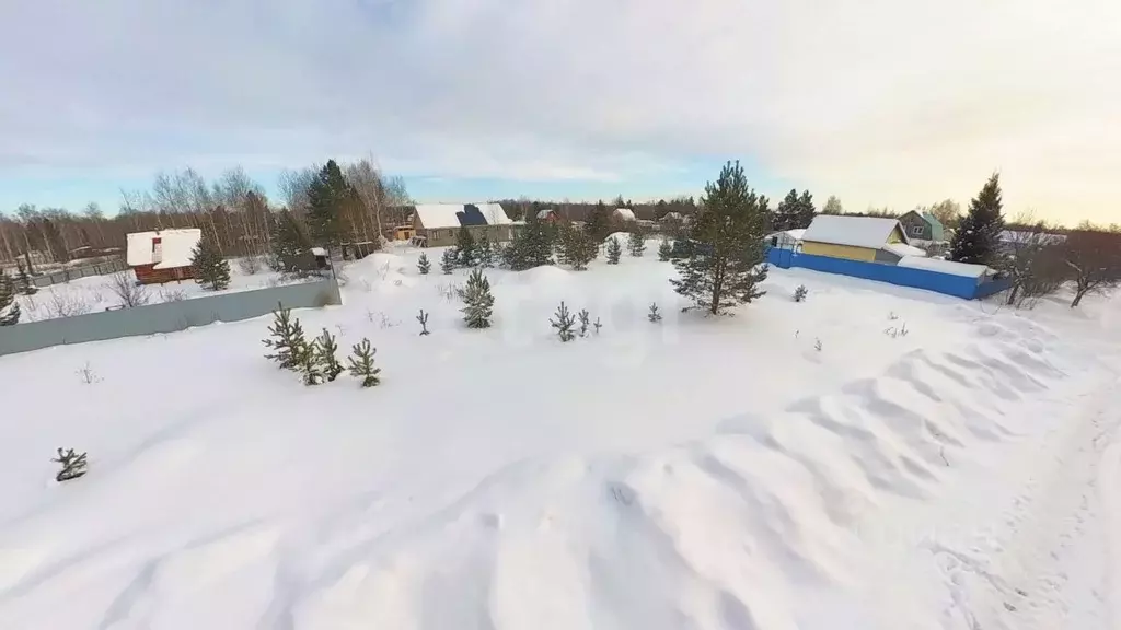 Участок в Тюменская область, Тюменский муниципальный округ, Нива СНТ ... - Фото 1