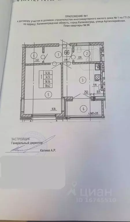 1-к кв. Калининградская область, Калининград ул. Героя России Виталия ... - Фото 2