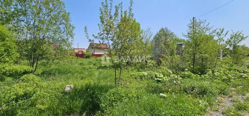 Участок в Сахалинская область, Анивский городской округ, с. Троицкое, ... - Фото 1