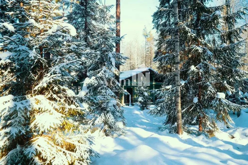 Коттедж в Ленинградская область, Выборгский район, Приморское ... - Фото 2