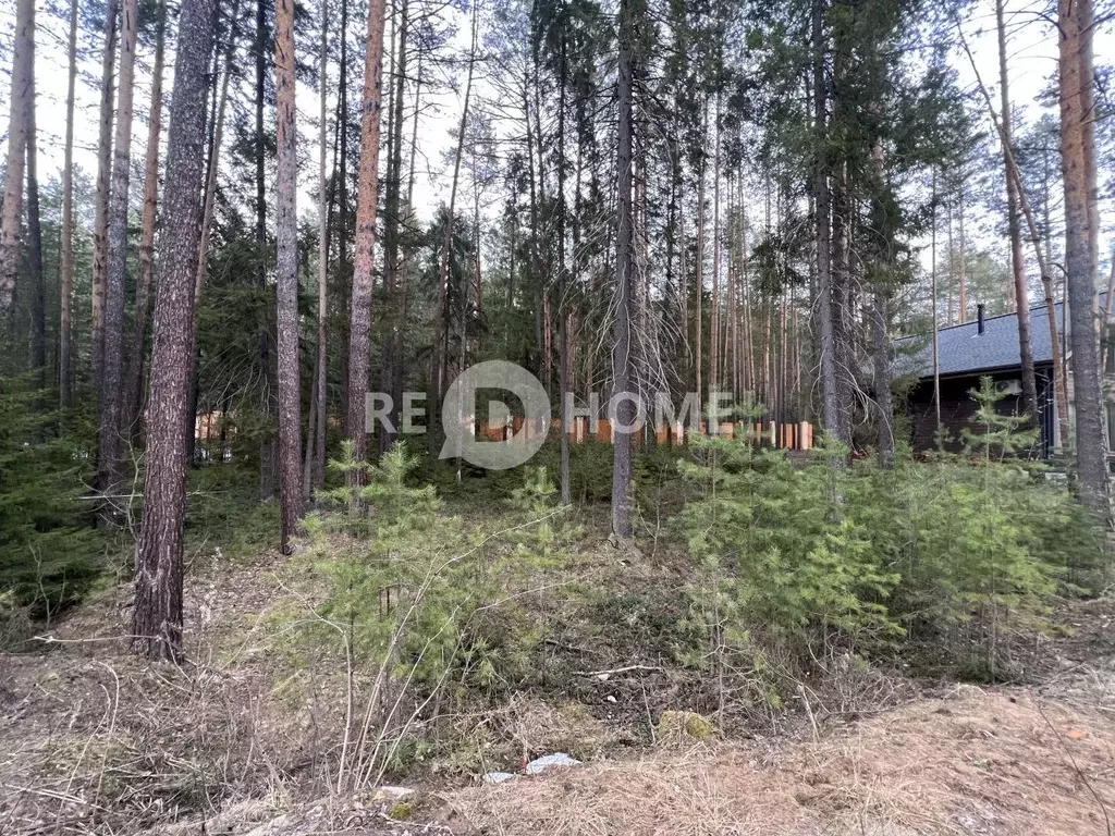 Участок в Пермский край, Добрянский городской округ, Полазна рп  (7.58 ... - Фото 1