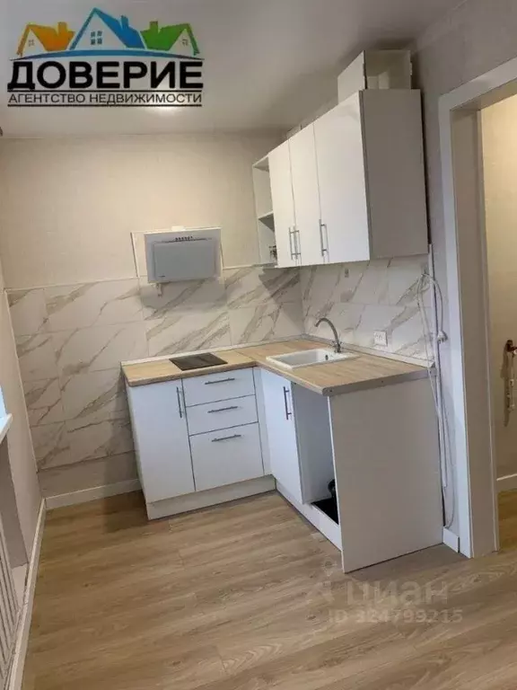 1-к кв. Ульяновская область, Сенгилеевский район, Силикатный рп ул. ... - Фото 1